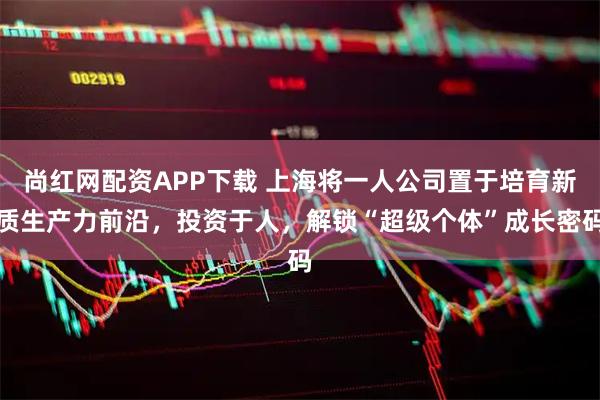 尚红网配资APP下载 上海将一人公司置于培育新质生产力前沿，投资于人，解锁“超级个体”成长密码