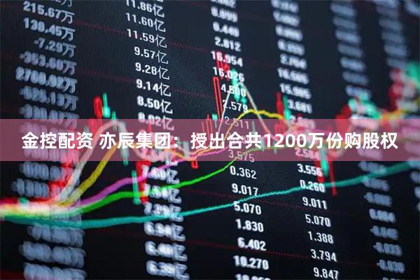 金控配资 亦辰集团：授出合共1200万份购股权