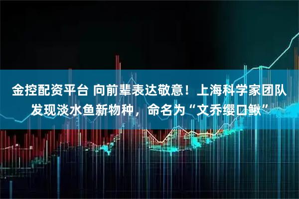 金控配资平台 向前辈表达敬意！上海科学家团队发现淡水鱼新物种，命名为“文乔缨口鳅”